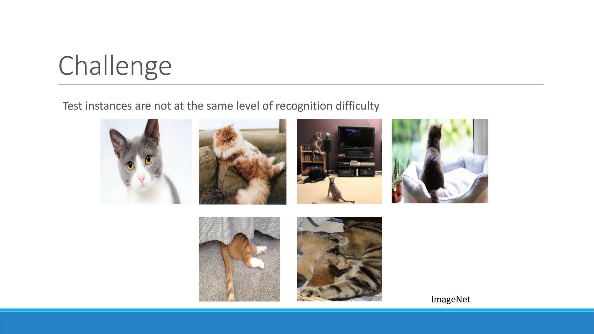 a019db83494242daea12163c846ef600whGIP0iCf8yhr6EH-23